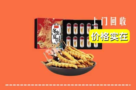 毕节金沙县回收冬虫夏草