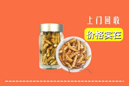 收购资讯:毕节金沙县回收散虫草