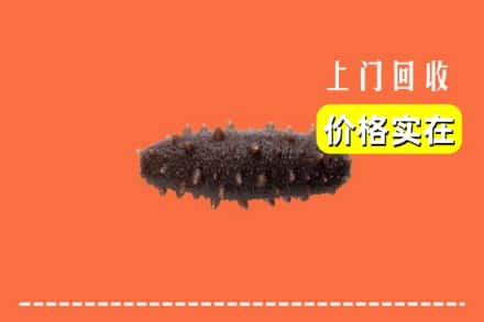 收购资讯:毕节金沙县回收海参