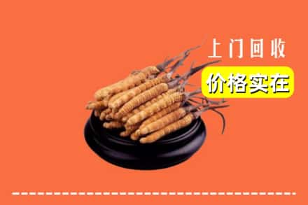 毕节金沙县回收冬虫夏草